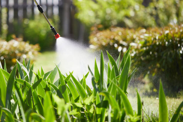 Tamper-Resistant Bait Stations for Rodents in Delta