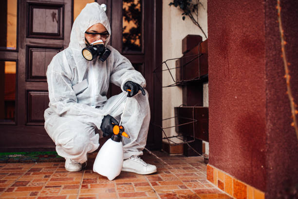 Attic and Crawl Space Rodent Treatment in Delta