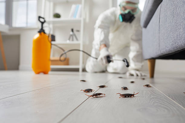 Commercial Rodent Management in Delta